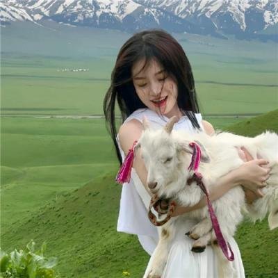 苏珊夫人寻婚计